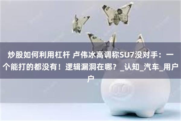 炒股如何利用杠杆 卢伟冰高调称SU7没对手：一个能打的都没有！逻辑漏洞在哪？_认知_汽车_用户