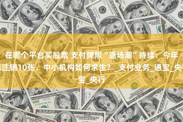 在哪个平台买股票 支付牌照“退场潮”持续：今年已注销10张，中小机构如何求生？_支付业务_通宝_央行