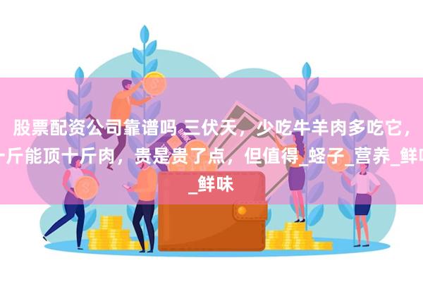 股票配资公司靠谱吗 三伏天，少吃牛羊肉多吃它，一斤能顶十斤肉，贵是贵了点，但值得_蛏子_营养_鲜味