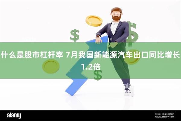 什么是股市杠杆率 7月我国新能源汽车出口同比增长1.2倍