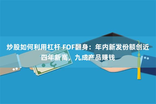 炒股如何利用杠杆 FOF翻身：年内新发份额创近四年新高，九成产品赚钱